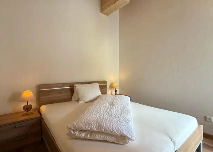 Bergquelle Dachwohnung