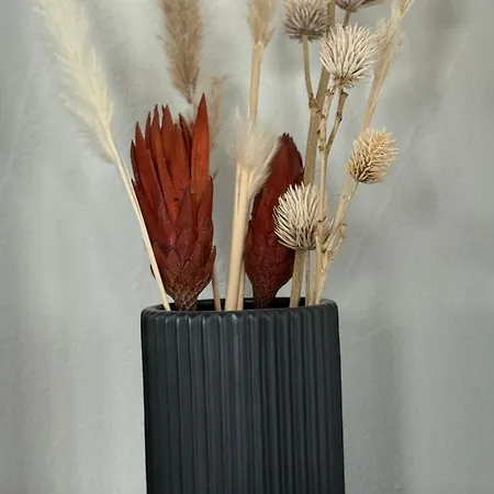 Bergquelle Dachwohnung * بيتميرلاب